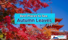 10 Best Places to See Autumn Leaves in Japan