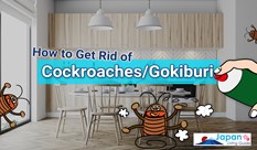 How to Get Rid of Cockroaches/Gokiburi in Japan