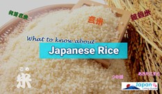 What to Know about Japanese Rice: Buying, Storing & More