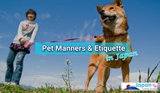 Pet Manners & Etiquette in Japan - Dog Walking, etc.