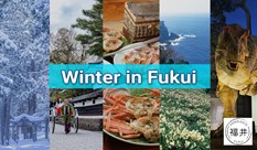 5 Fun Ways to Make the Most of Winter in Fukui