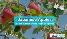 Japanese Apples: A Look at What Makes Them So Special