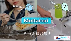 What is Mottainai? The Japanese Meanings and Expressions