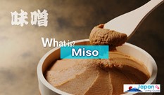 What Is Miso? A Guide to Japan's Essential Ingredient