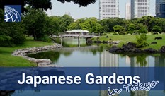 Japanese Gardens in Tokyo – Nihon Teien
